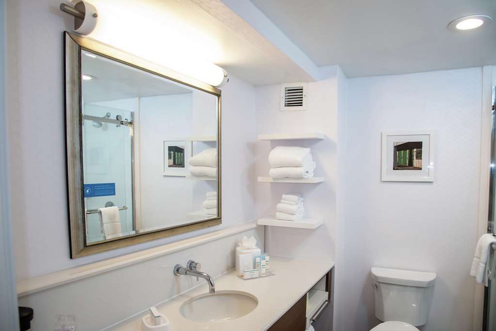 Hampton Philadelphia/king Of Prussia - Valley Forge Hotel 3*